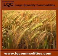 Wheat, Corn, Barley, Cotton, Grain, Soya, Sugar, Rice, Salt, Ethanol, Coffe, Sunflower, Biofuel, Biodiesel