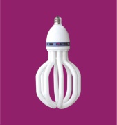 pear shaped energy saving lamp