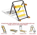 multi-functional step ladder