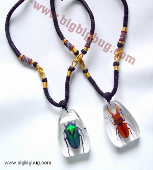 Green Rose Chafer Pendant & Little Stag Beetle Pendant