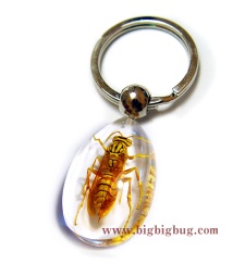 Wasp Key chain