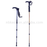 nordic walking stick