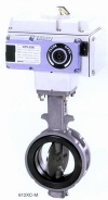 Butterfly valve