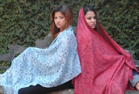 fine pashmina shawl