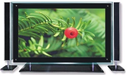 LCD TV - PLT4211