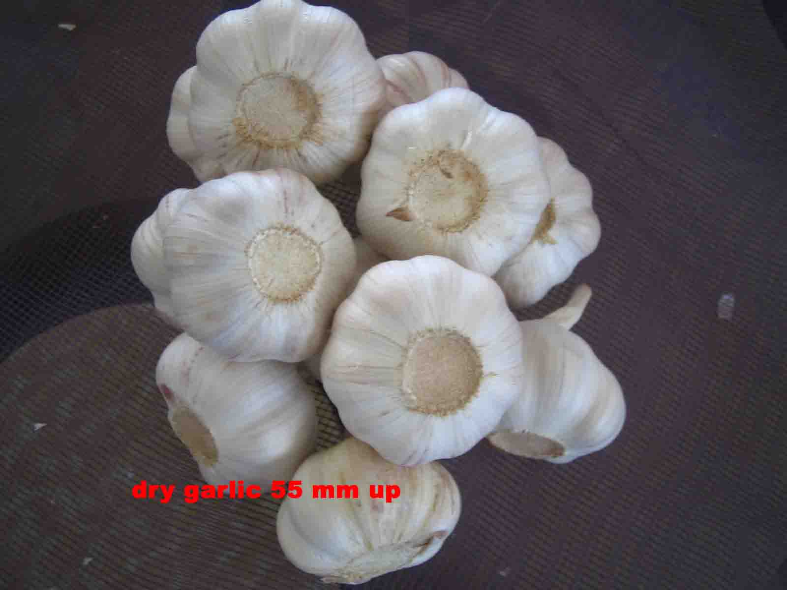 P.Y.STAR IMP.& EXP.CO.,LTD