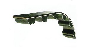 timing belt, ribbed belt,