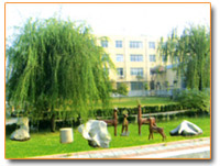 Shandong Hengda Rubber Co.,Ltd