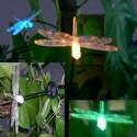 solar  dragonfly  light
