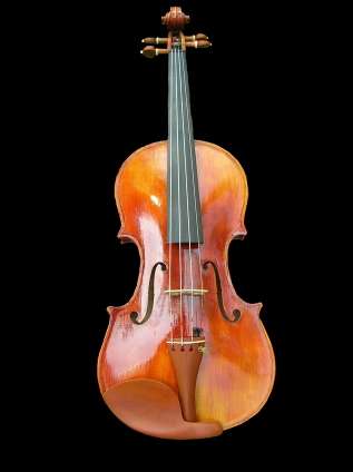 Violin