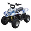 Mini Quad/ATV