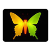 Top beautiful butterfly night light