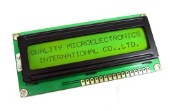 segment type LCD panel,module