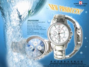 stainless steel watch