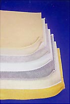 Polyester water and oil repellent