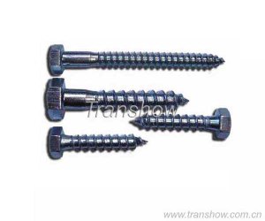 Dry Wall Screw