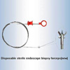 Disposable Biopsy Forceps