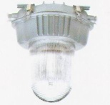 Portable multifunction working lamp