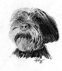 Pencil Sketches With Low Price