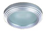 Aluminum downlight
