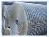 Welded Wire Mesh