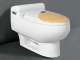 one-piece toilet - WS-2285A