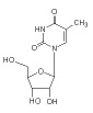nucleotide mixture - nucleotide