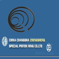 Changsha Zhengsheng Special Piston Ring Co.Ltd