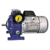 UD(L) series planet cone-disk stepless speed variator