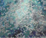 Shanghai Zhengmei Sub-Nanoseale Material Manufacture co.,ltd