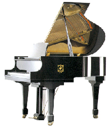 Shanghai Zhao Tian International Trading CO., LTD