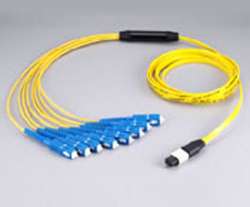 MPO fan-out patch cords 