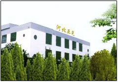 Hebei Yaguang Fine Chemical Co.,ltd