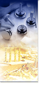 Long Tsan Metal Ltd.