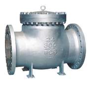 Check valve