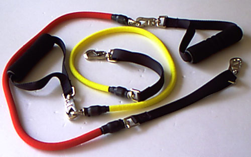 bungee dog lead