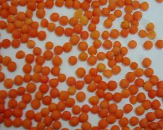 Red lentils