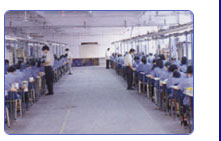 Shenzhen Temei Industry Co., Ltd.