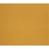 PU Leather