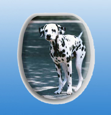 MDF pringting toilet seat Size: 18