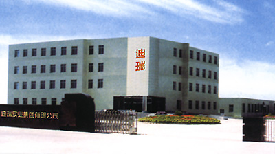 Dirui Industrial Group Co., Ltd.