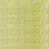 Common Needled Bottom Felt