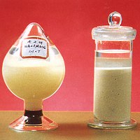 The sample of strongly basic anion exchange resin