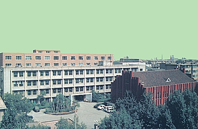 Shandong Telecommunication Electronic Industry Group Co.