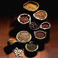 Jilin Sunway Foreign Economic & Trade General Co.