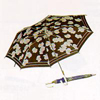 Lady's Umbrella