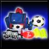 #5 Hand-Sewn PVC Soccer Ball Set