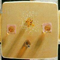 Thaiwa Plastic Company Limited