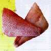 Fish Fillets