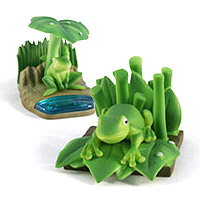 Animal Specimen - Frog